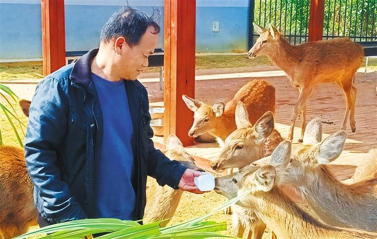 高质量发展产业调研】林下生金mg不朽情缘游戏登录入口【