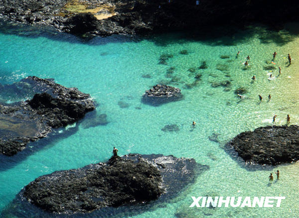 的费尔南多—迪诺罗尼亚岛不朽情缘平台登录